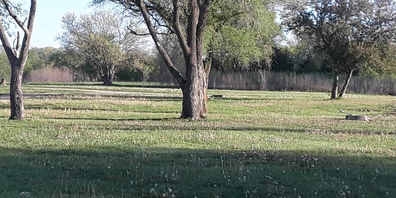 Camper submitted image from Shawnee State Fishing Lake