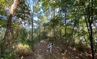 ShaneB's photo of camping with pets at Greenleaf State Park Campground near Eufaula Lake