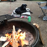 Review photo of Bear Head Lake State Park Campground by Steff , August 25, 2020