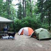 Review photo of Bear Head Lake State Park Campground by Steff , August 25, 2020