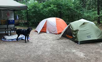 Steff's photo of camping with pets at Bear Head Lake State Park Campground near Hibbing, MN