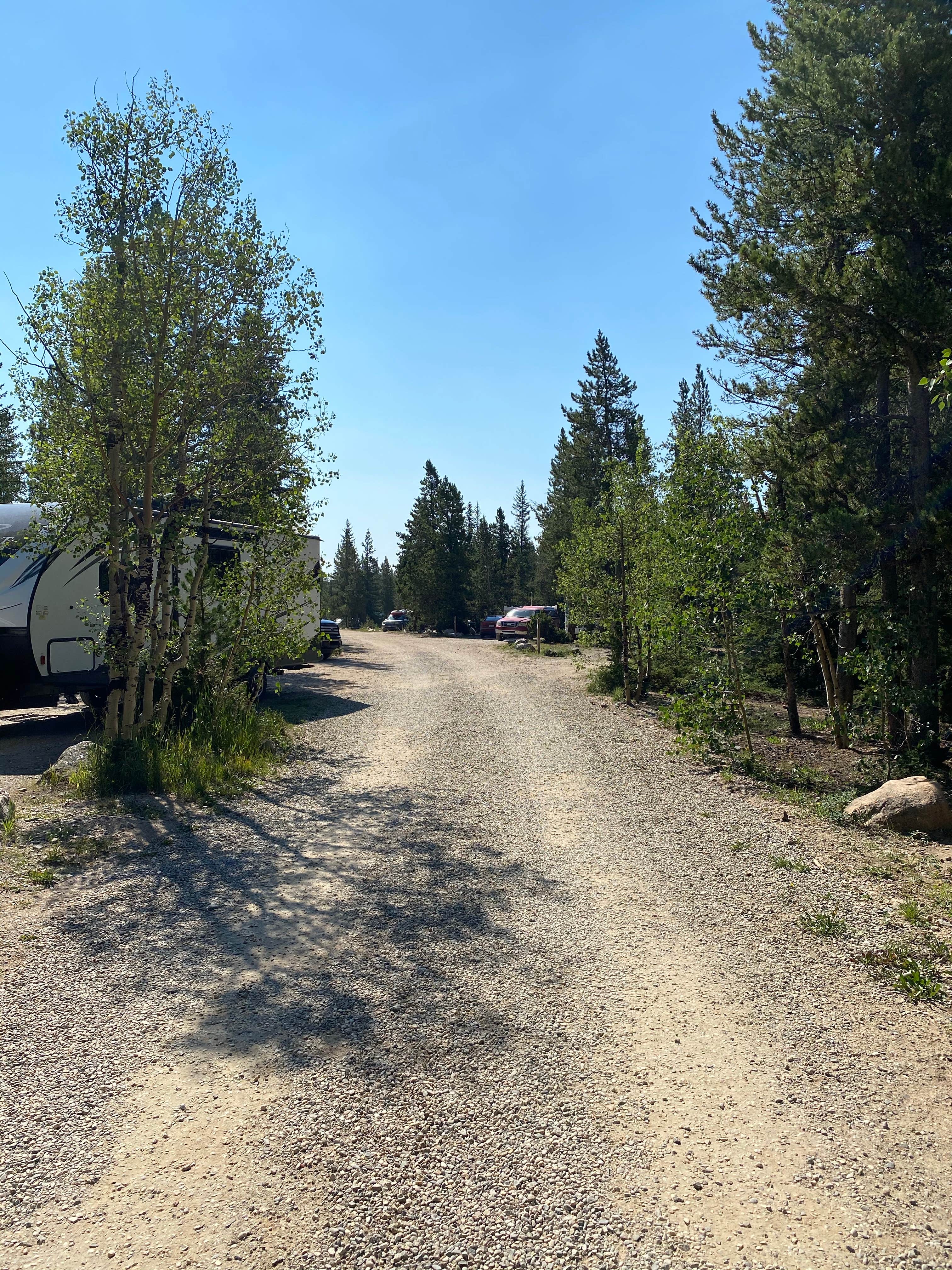 Camper-submitted photo at Lodgepole - Jefferson near Shawnee, CO