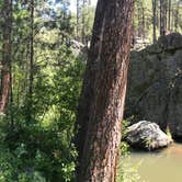 Review photo of Grace Coolidge Campground — Custer State Park by Steff , August 25, 2020