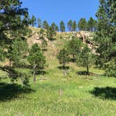 Review photo of Grace Coolidge Campground — Custer State Park by Steff , August 25, 2020