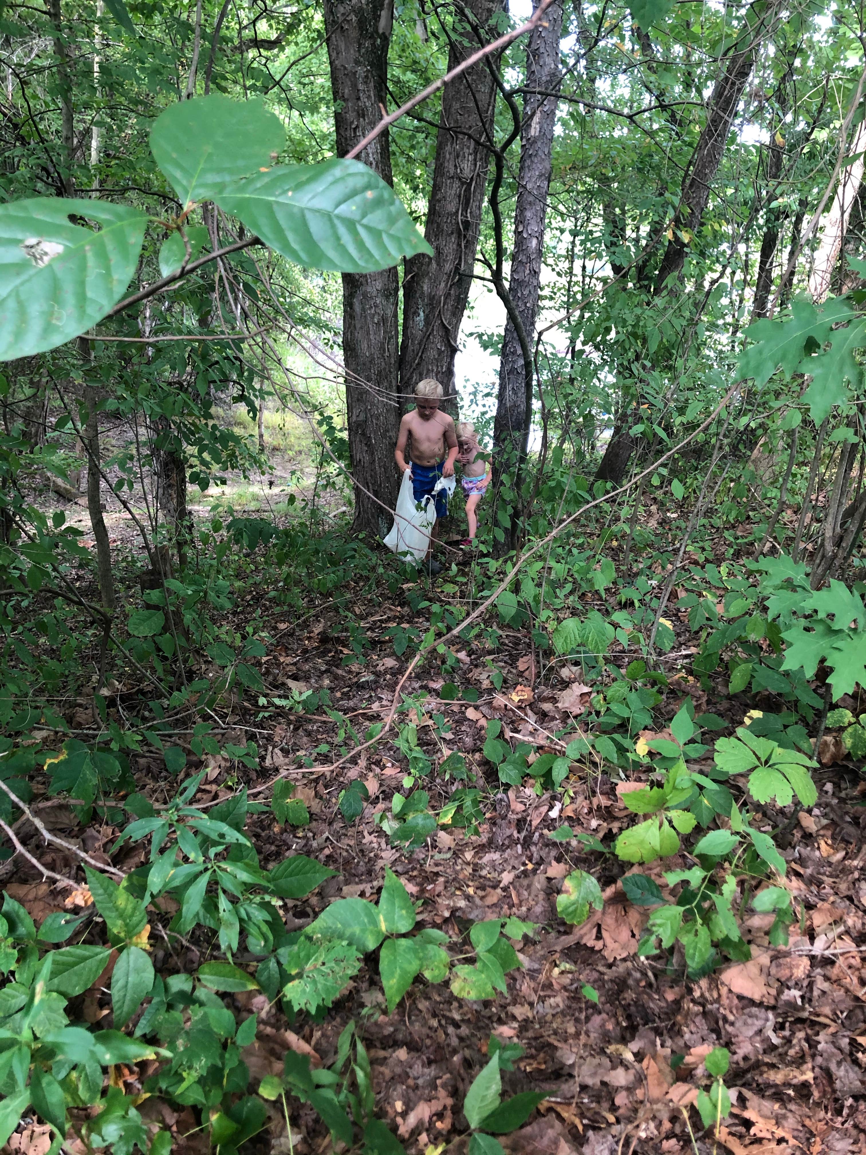 Camper-submitted photo at Atwood Lake Park Muskingum Watershed Conservancy Dist near Carrollton, OH