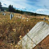 Review photo of Columbine Campground - Outside of Denver by Sarah F., August 25, 2020