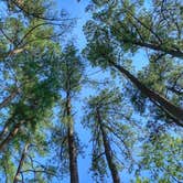 Review photo of Land Between The Lakes National Recreation Area Hillman Ferry Campground by Jason H., August 25, 2020