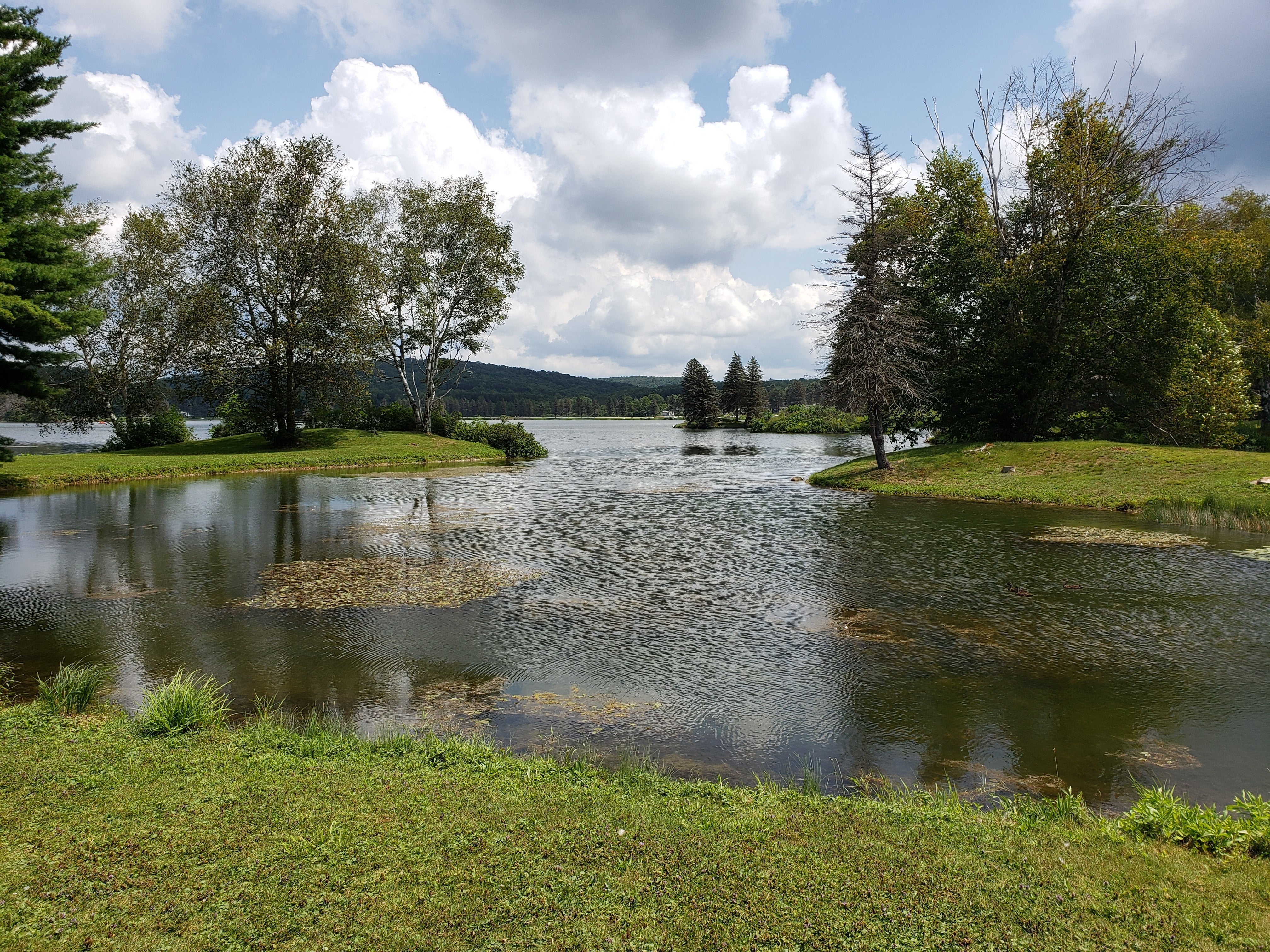 Camper submitted image from Allegany Mountain Members Resort - 1