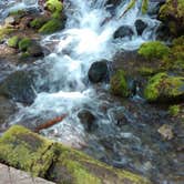 Review photo of Sol Duc Hot Springs Resort Campground — Olympic National Park by Danielle S., July 6, 2016