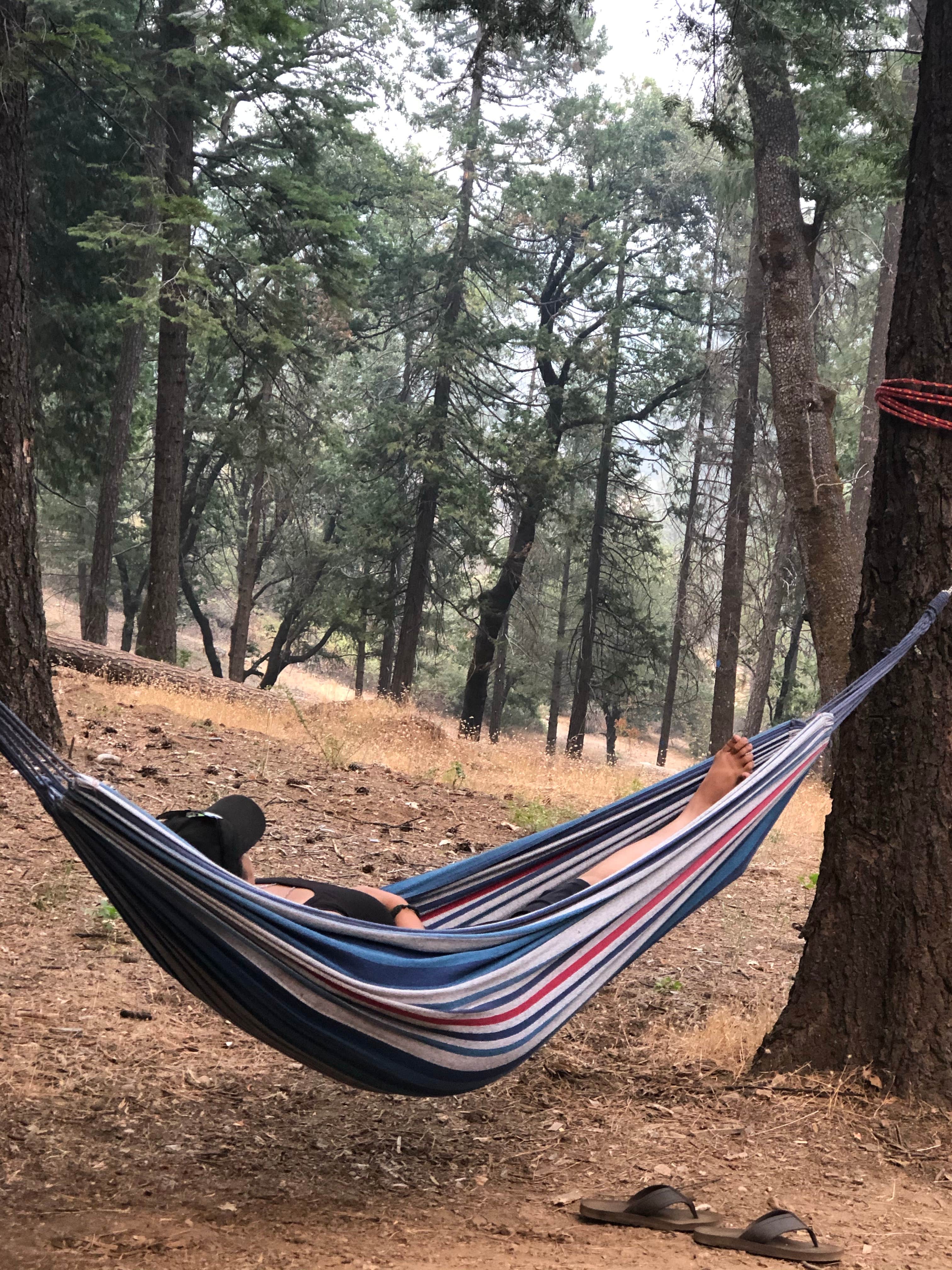 Activities