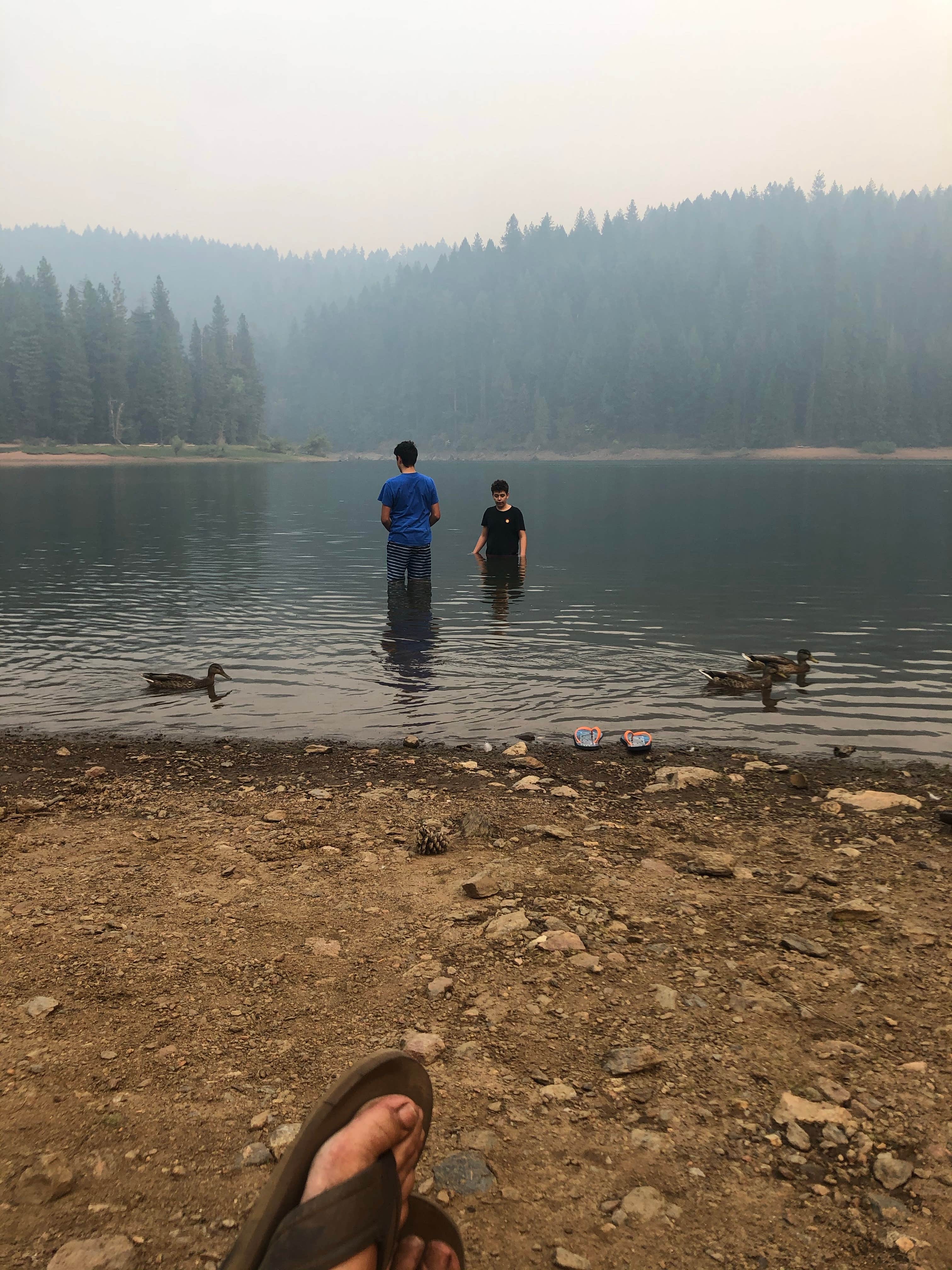 Camper submitted image from Sly Park Recreation Area - 3