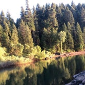 Review photo of Sly Park Recreation Area by Bea I., August 25, 2020
