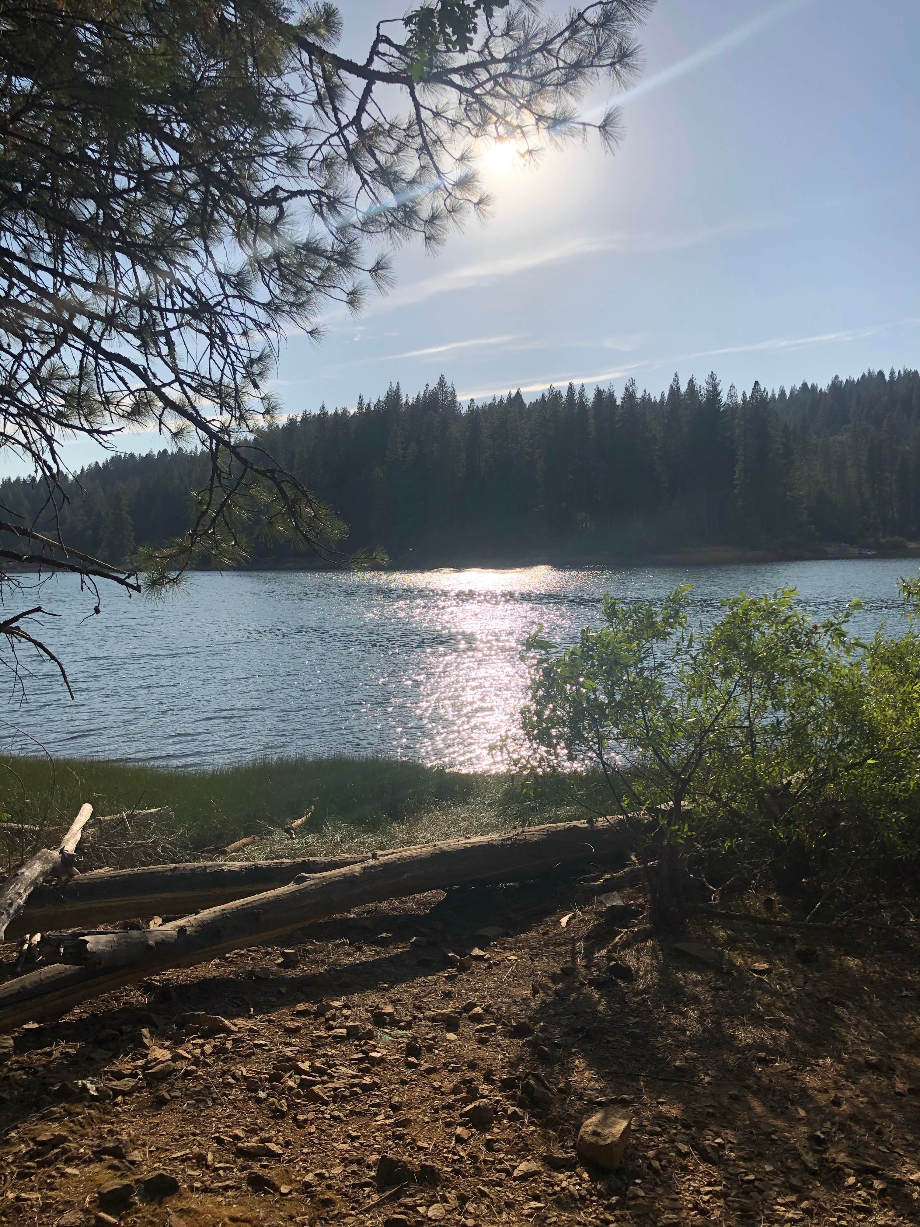Camper-submitted photo at Sly Park Recreation Area near Diamond Springs, CA