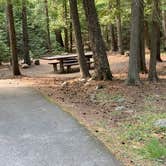 Review photo of Copper Creek Campground by nick W., August 25, 2020