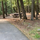 Review photo of Copper Creek Campground by nick W., August 25, 2020
