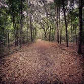 Review photo of Blythe Island Regional Park by Brian W., August 25, 2020