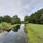 Review photo of Blythe Island Regional Park by Brian W., August 25, 2020