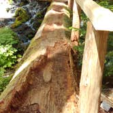 Review photo of Sol Duc Hot Springs Resort Campground — Olympic National Park by Danielle S., July 6, 2016