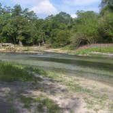 Review photo of Adams Tract — Suwannee River Wilderness Trail by Jeanene A., May 7, 2018