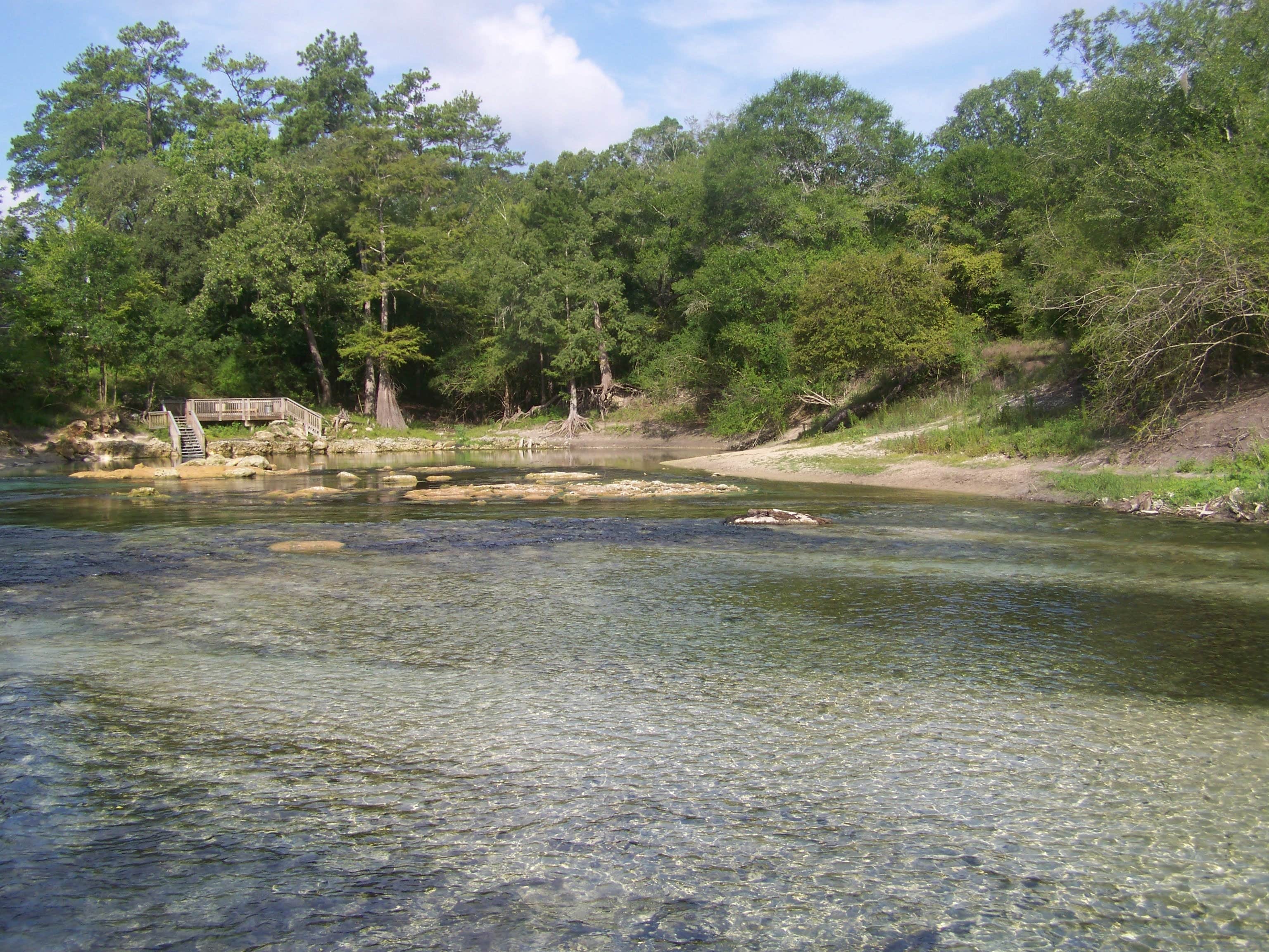 Camper submitted image from Adams Tract — Suwannee River Wilderness Trail - 4