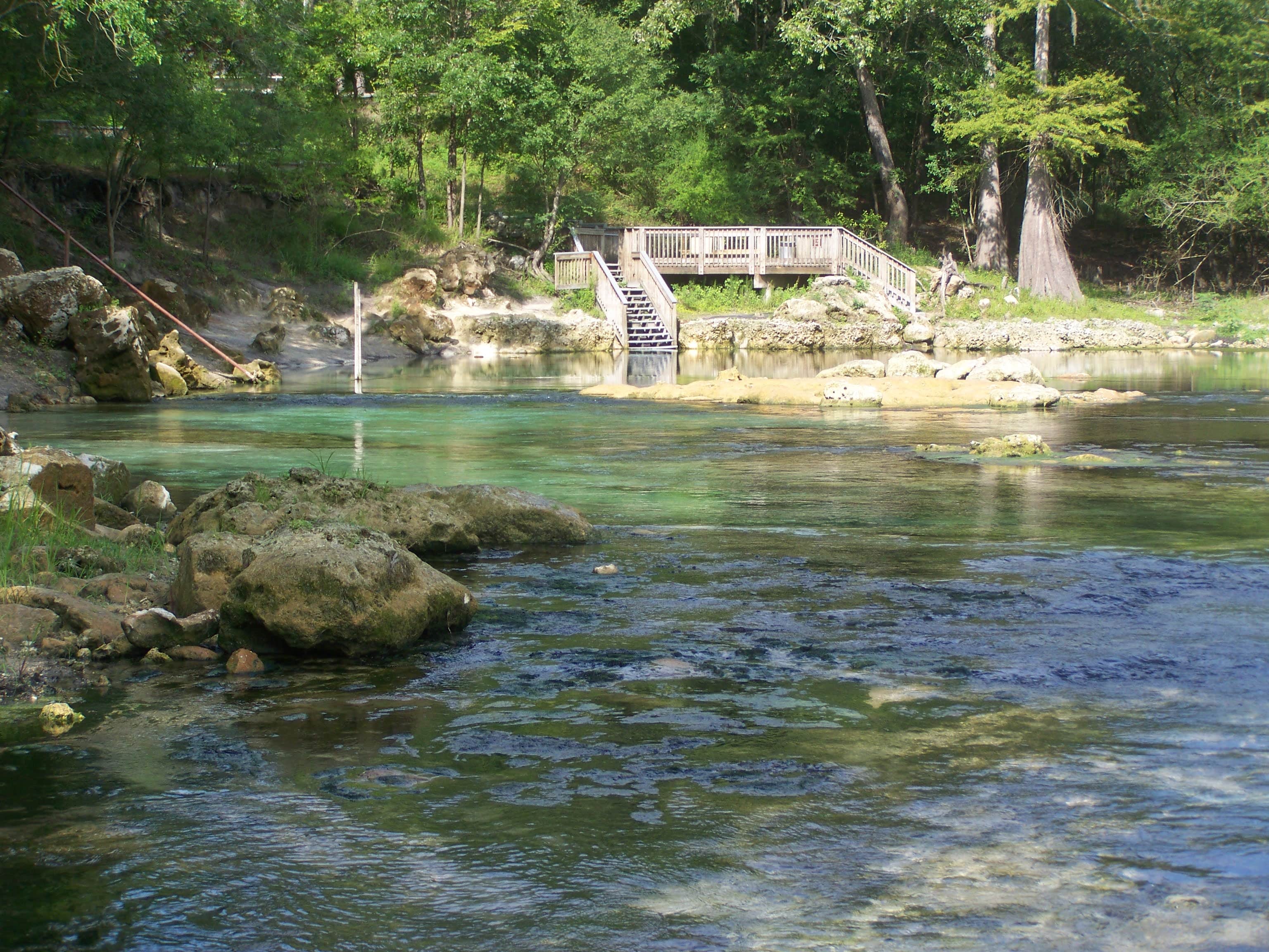 Camper submitted image from Adams Tract — Suwannee River Wilderness Trail - 2