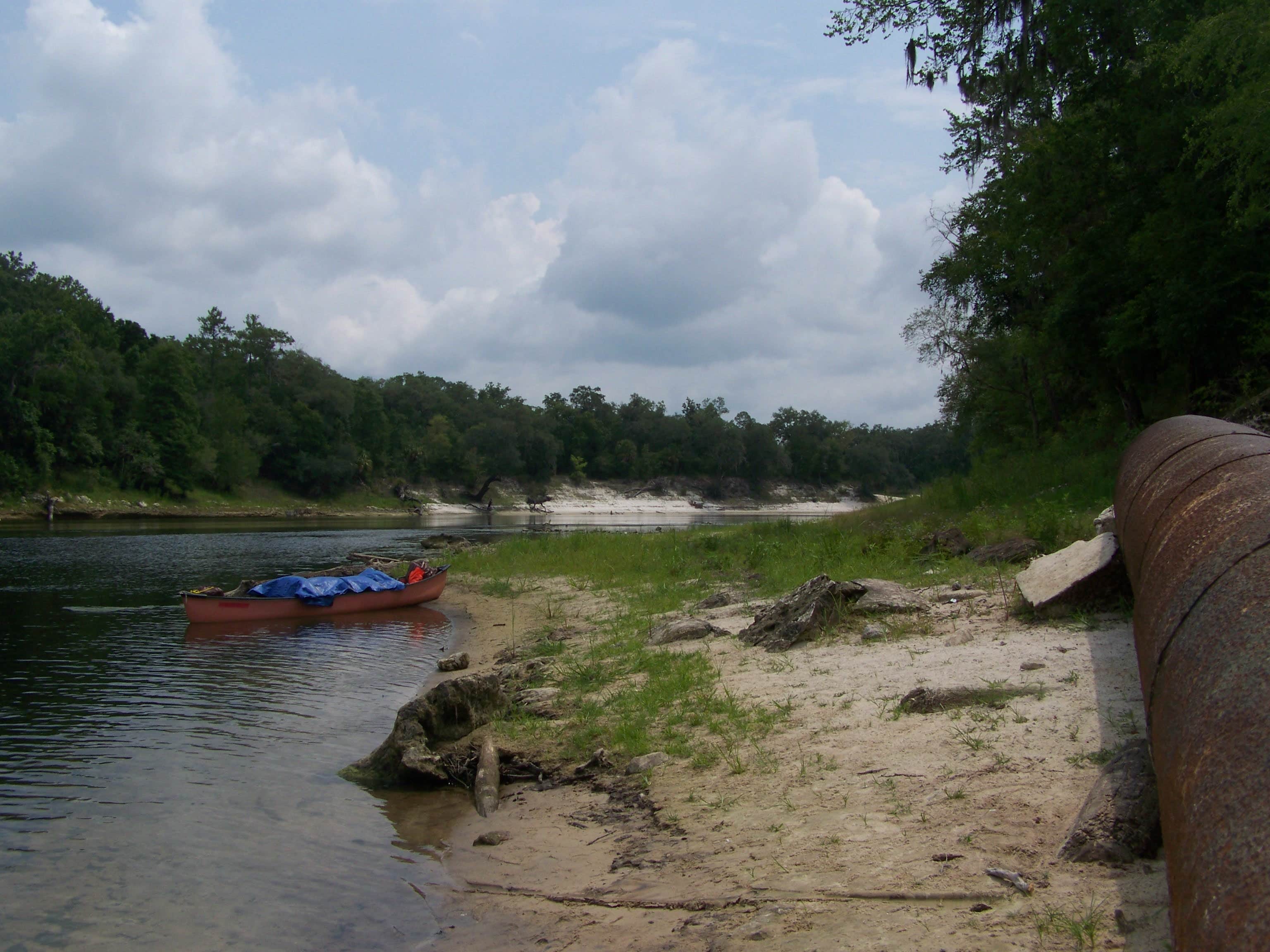 Camper-submitted photo at Dowling Park River Camp — Suwannee River Wilderness Trail near Jasper, FL