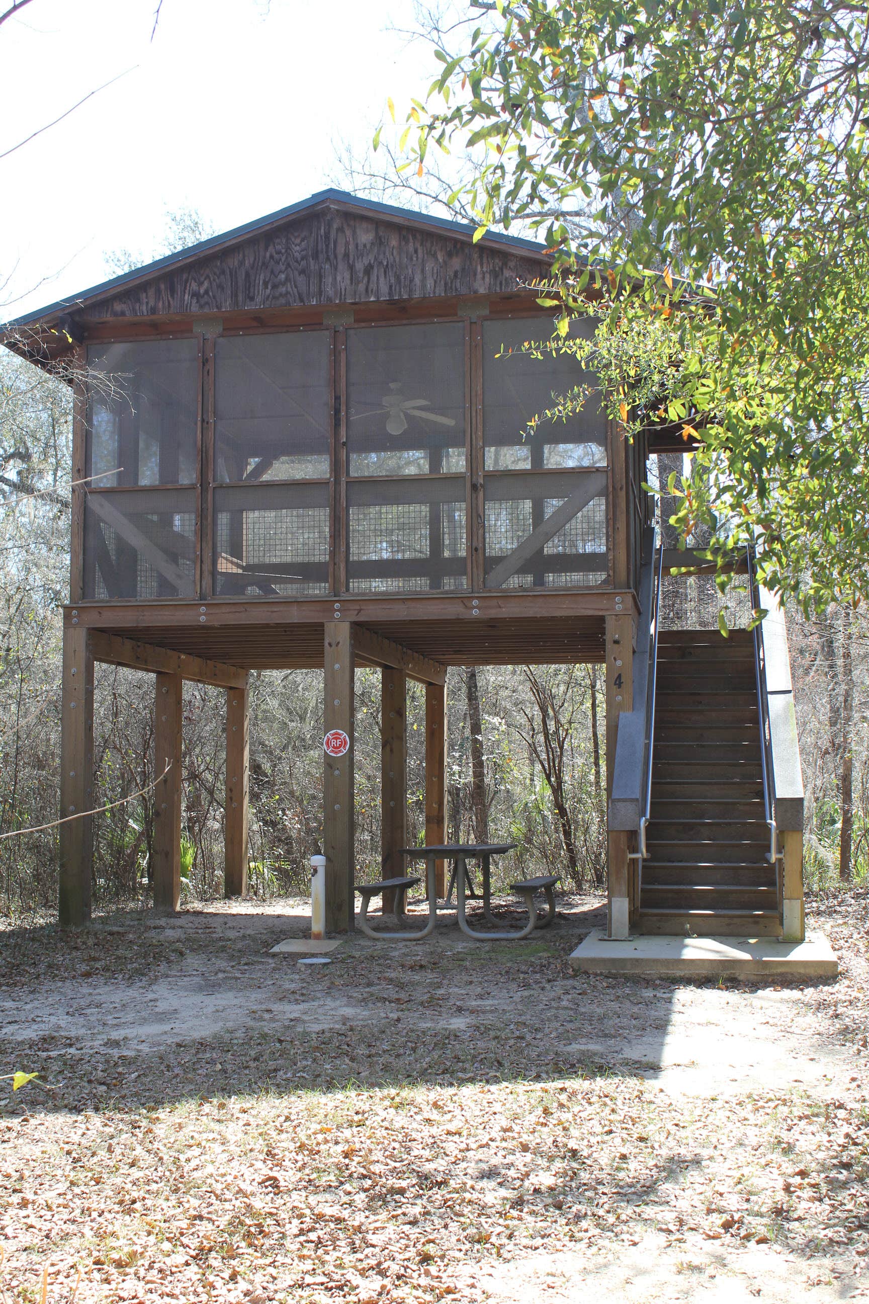 Camper-submitted photo at Dowling Park River Camp — Suwannee River Wilderness Trail near Jasper, FL