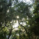 Review photo of Spirit of the Suwannee Music Park & Campground by Jeanene A., May 7, 2018