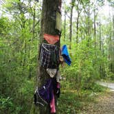 Review photo of Spirit of the Suwannee Music Park & Campground by Jeanene A., May 7, 2018