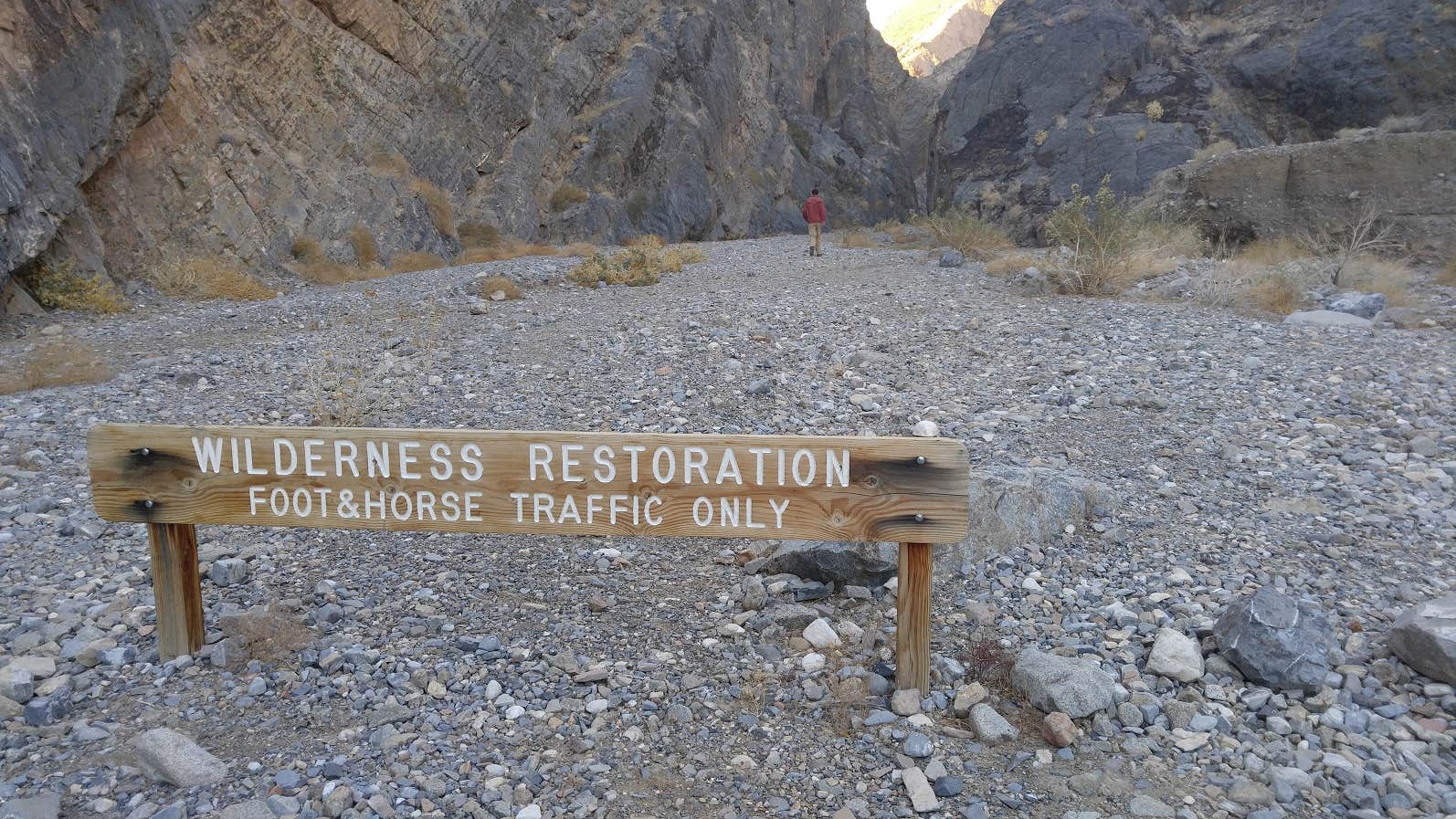 Camper-submitted photo at Lone Tree Campground — Cottonwood Canyon State Park near Mikkalo, OR