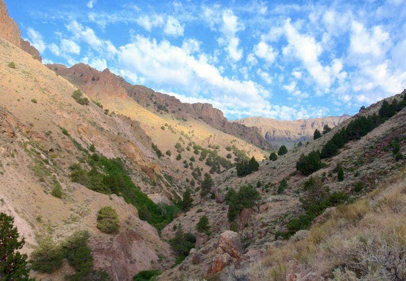 Lone Tree Campground — Cottonwood Canyon State Park