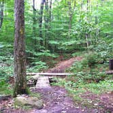 Review photo of Laurel Ridge State Park Campground by Brian S., May 7, 2018