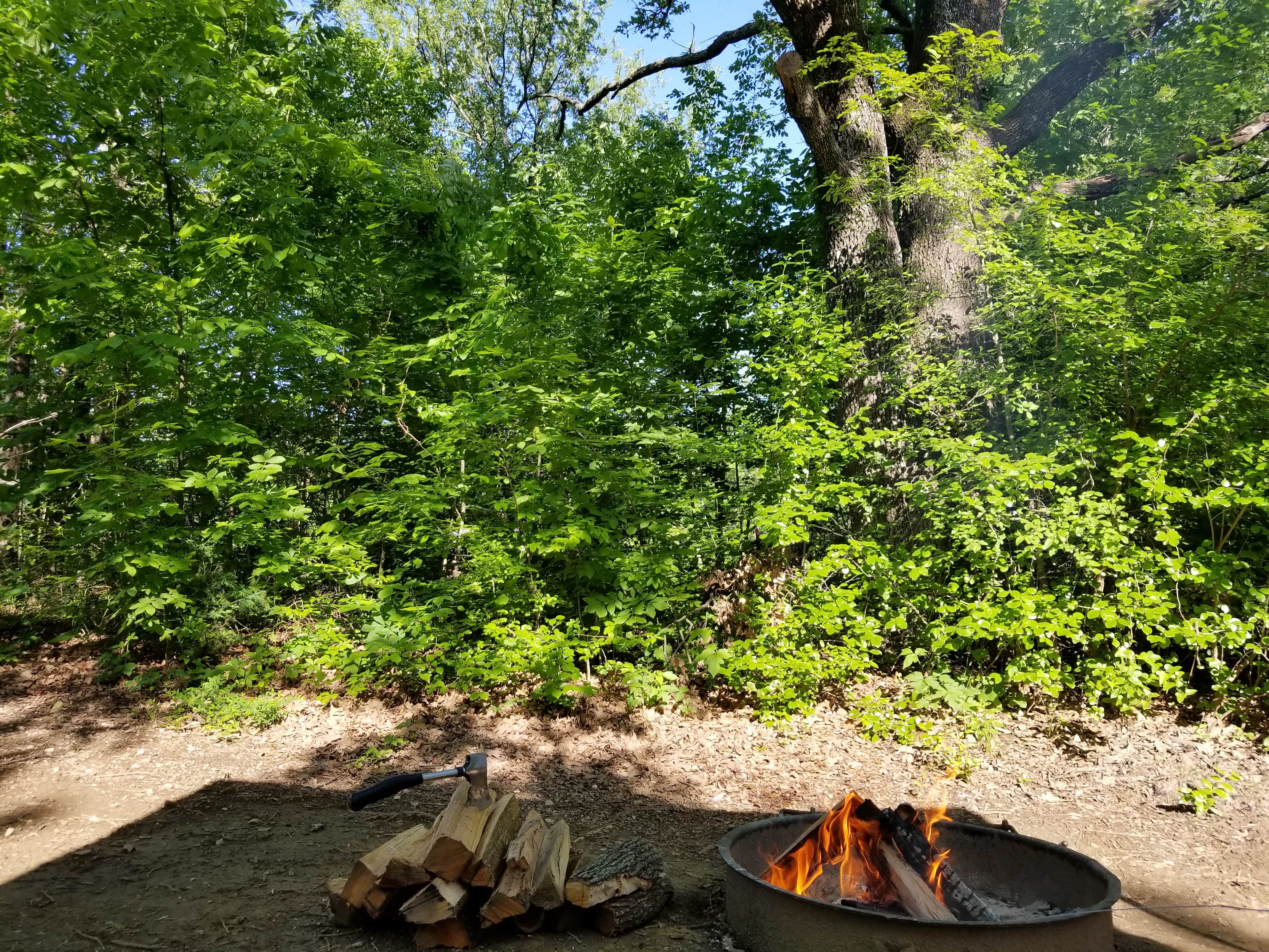 Camper-submitted photo at Bright Star Campground — Cooper Lake State Park South Sulphur Unit near Bonham, TX