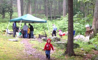 Joe F.'s photo at Clear Creek State Park Campground near Lucinda, PA