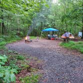 Review photo of French Creek State Park Campground by Janet , August 25, 2020