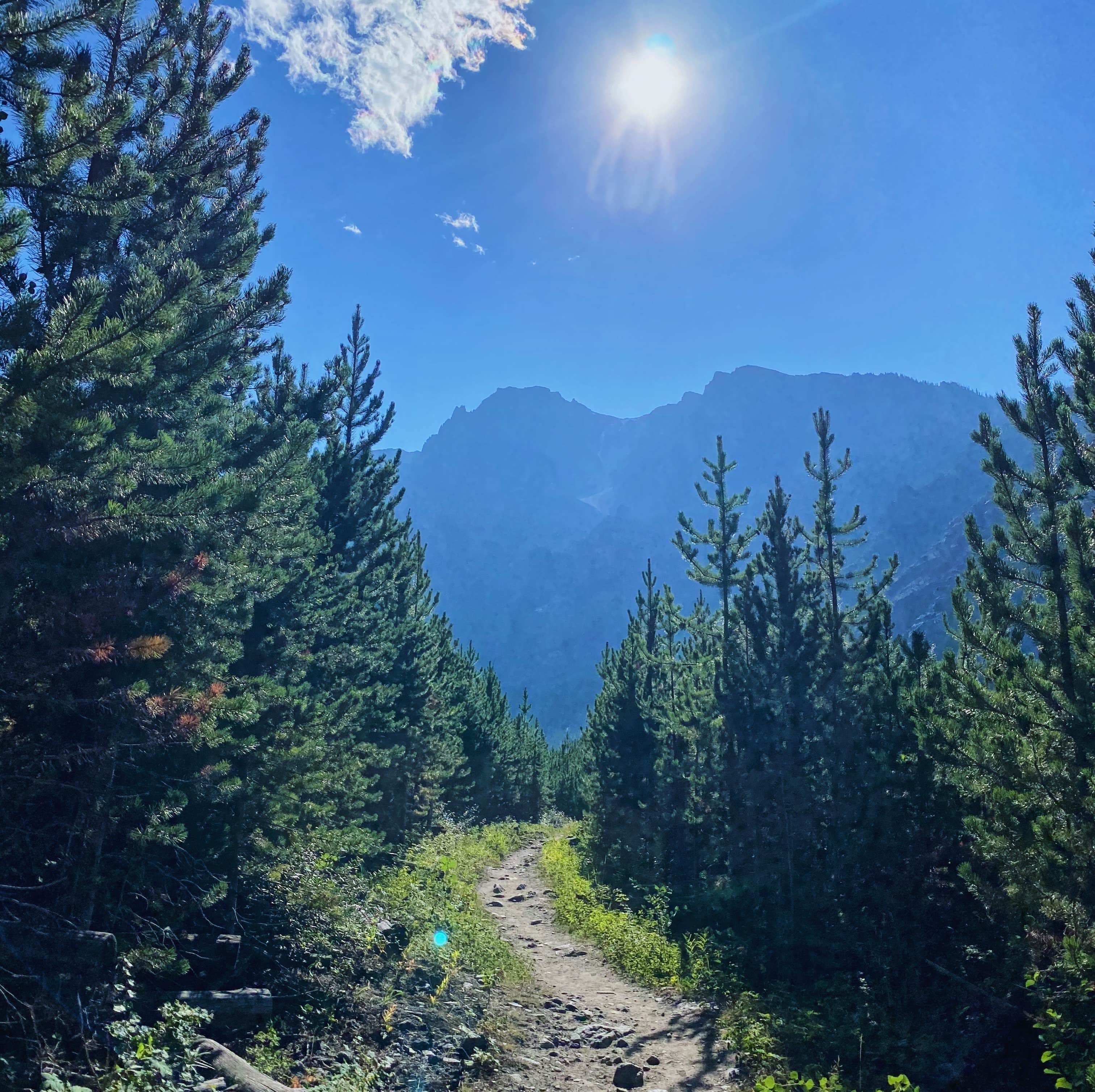 Camper-submitted photo at East Rosebud Campground near Silver Gate, MT