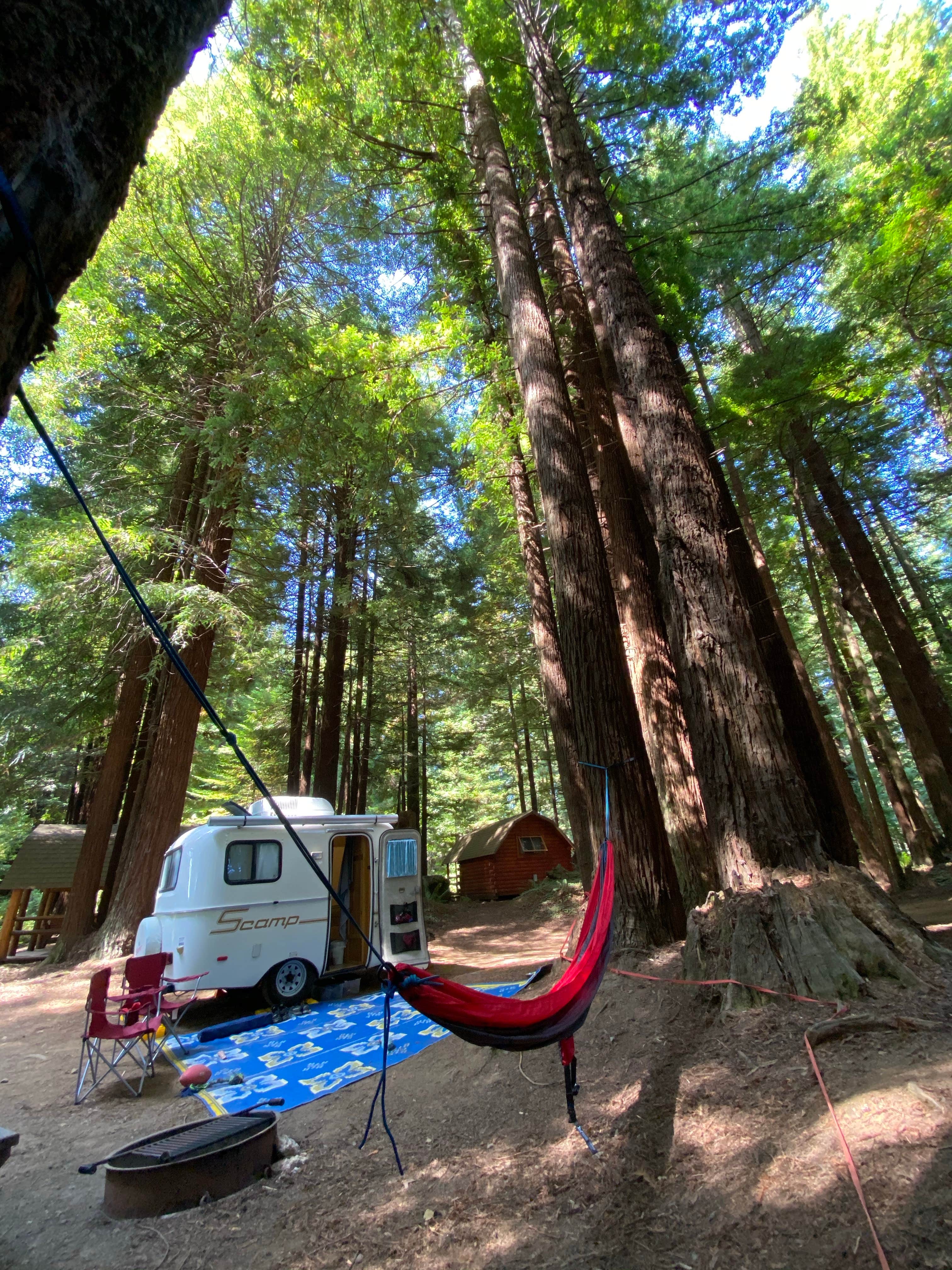 Karen L.'s photo at Crescent City/Redwoods KOA near Smith River, CA