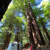 Review photo of Crescent City/Redwoods KOA by Karen L., August 25, 2020