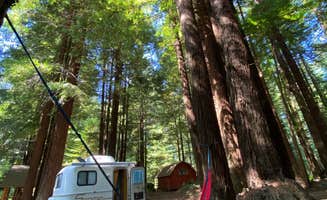 Karen L.'s photo at Crescent City/Redwoods KOA near Smith River, CA