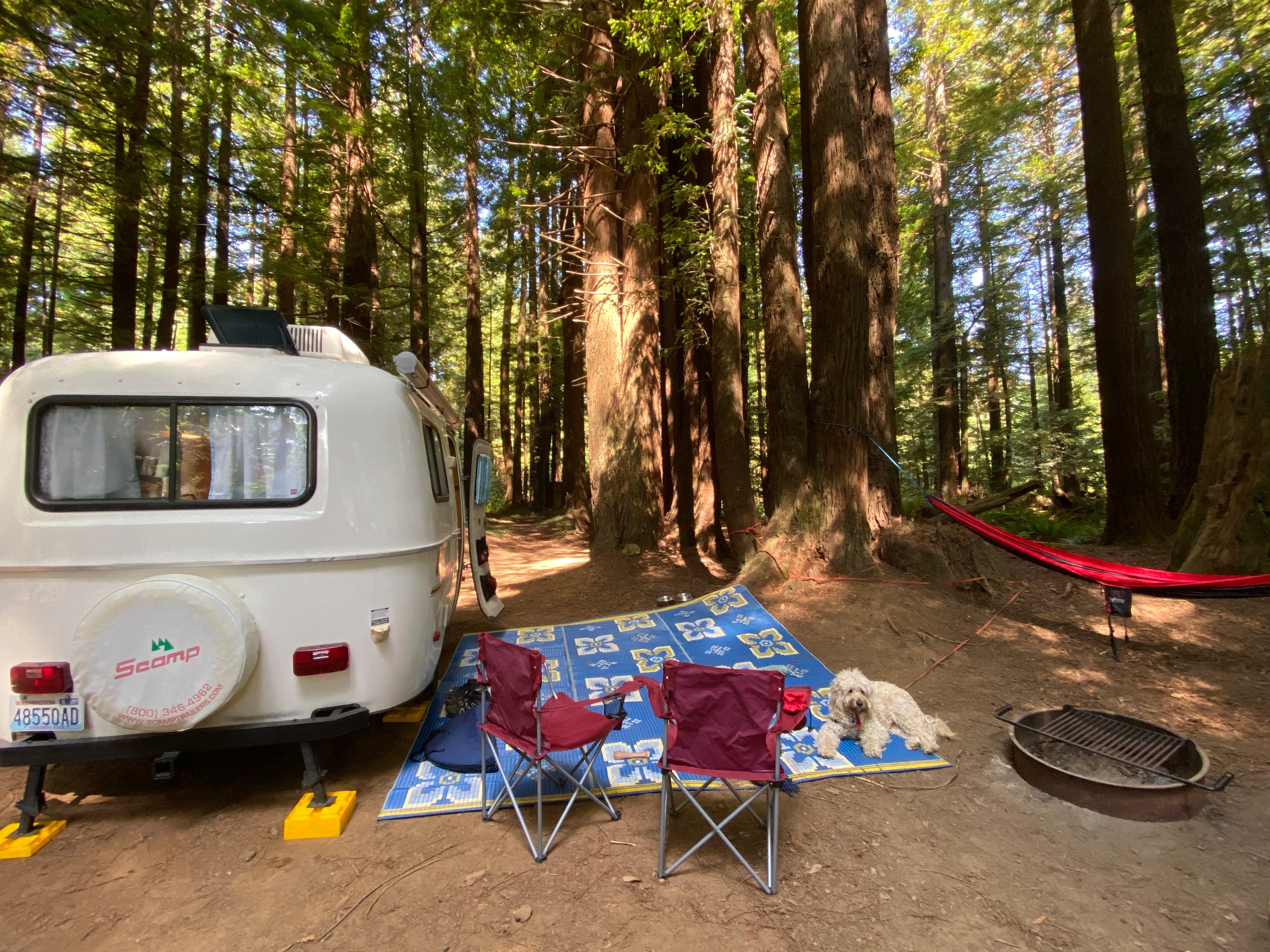 Camper submitted image from Crescent City/Redwoods KOA - 5
