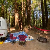 Review photo of Crescent City/Redwoods KOA by Karen L., August 25, 2020