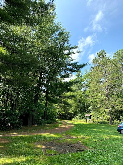 Camper submitted image from Walter E Stark Horse Campground - Pillsbury State Forest - 2
