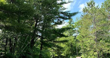 Walter E Stark Horse Campground - Pillsbury State Forest
