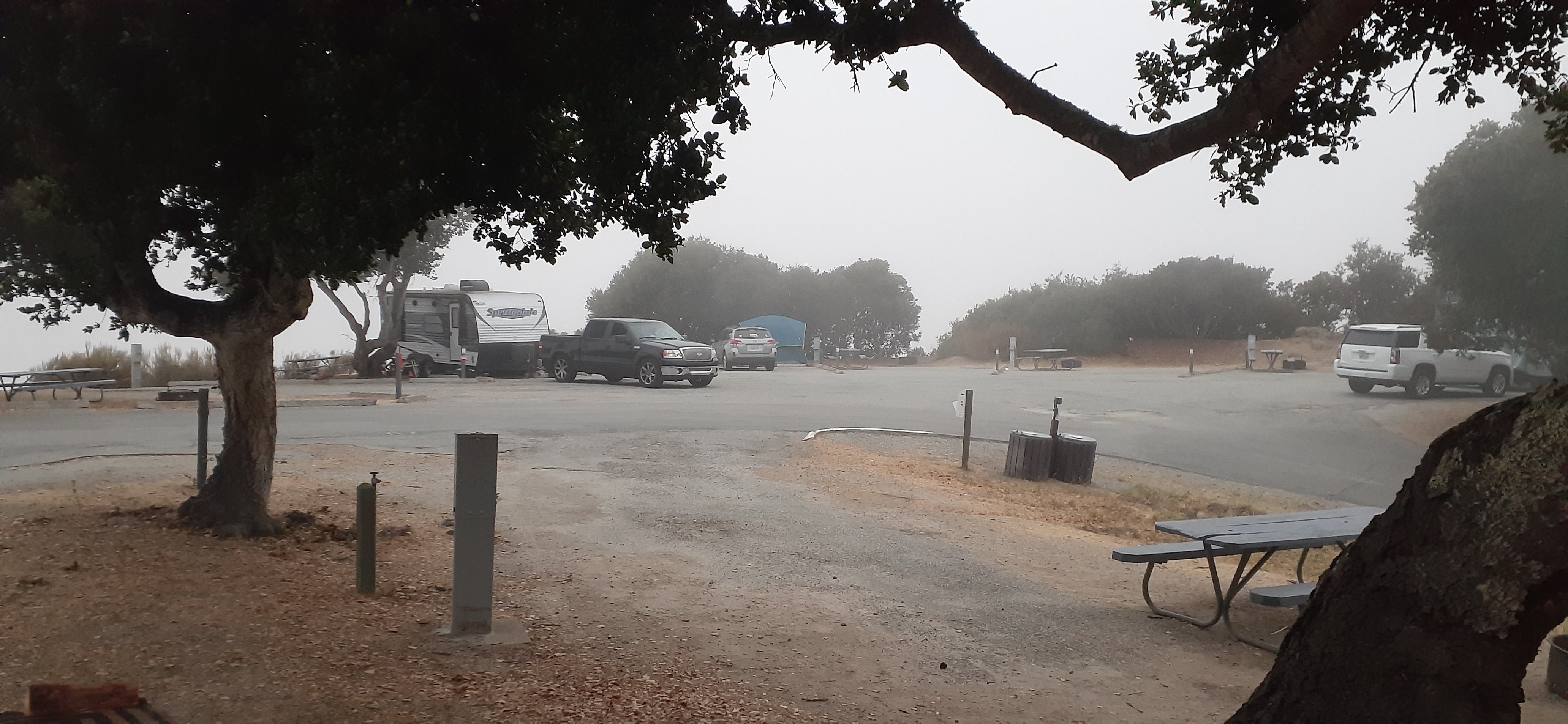Camper submitted image from Laguna Seca Recreation Area - 2
