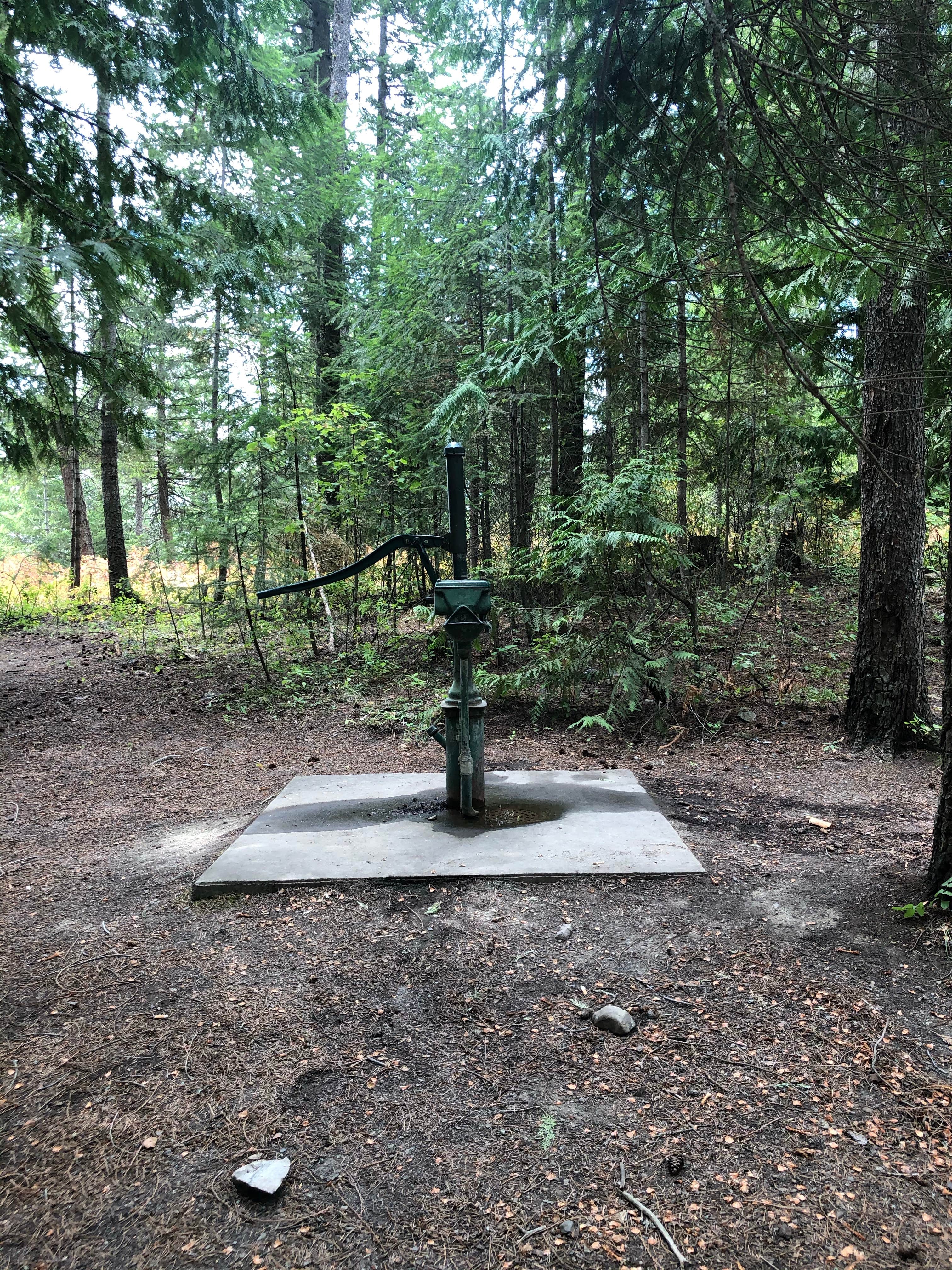 Camper submitted image from Smith Lake Campground - 4