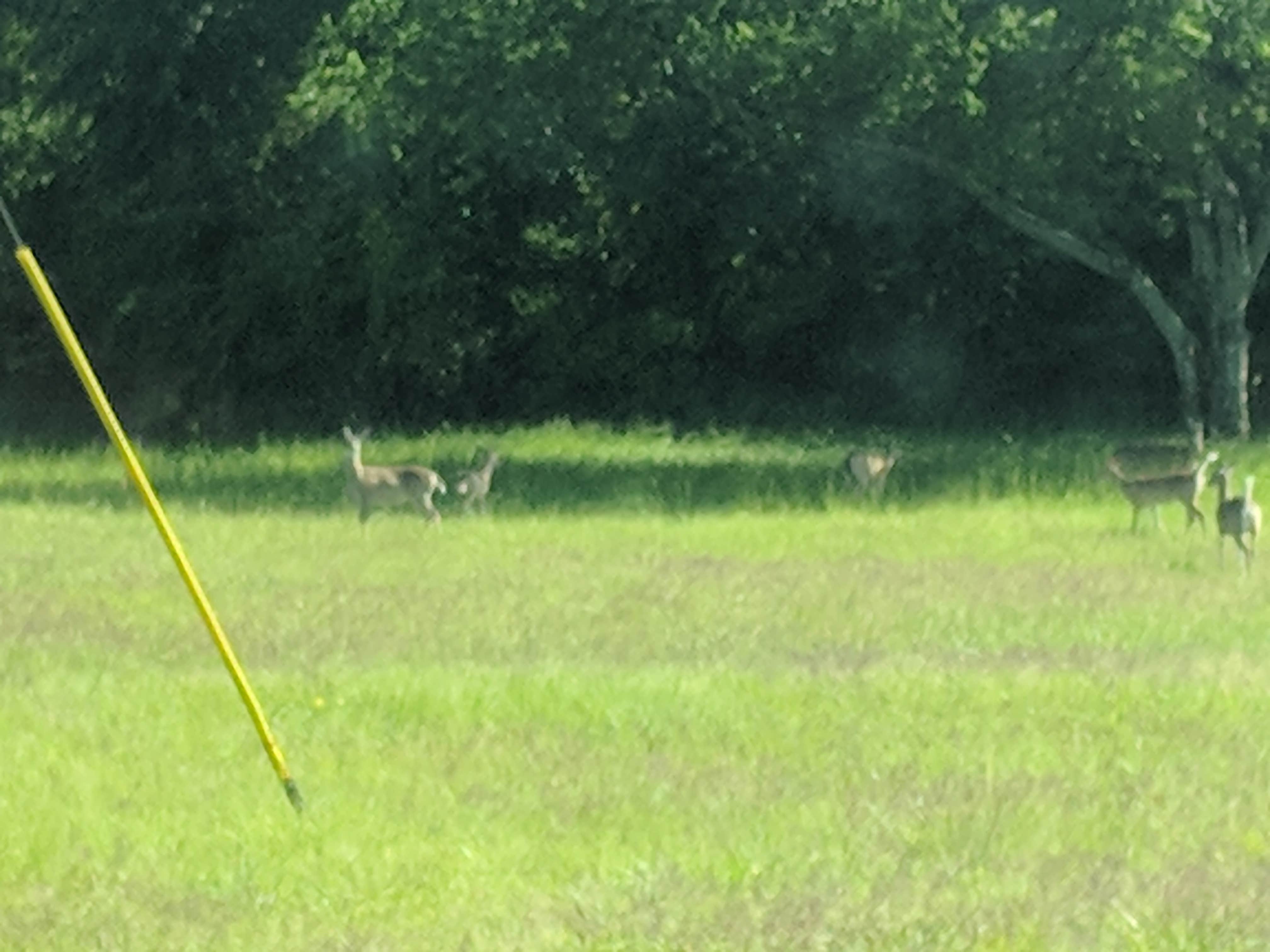 Camper-submitted photo at Wind Point Park near Rowlett, TX