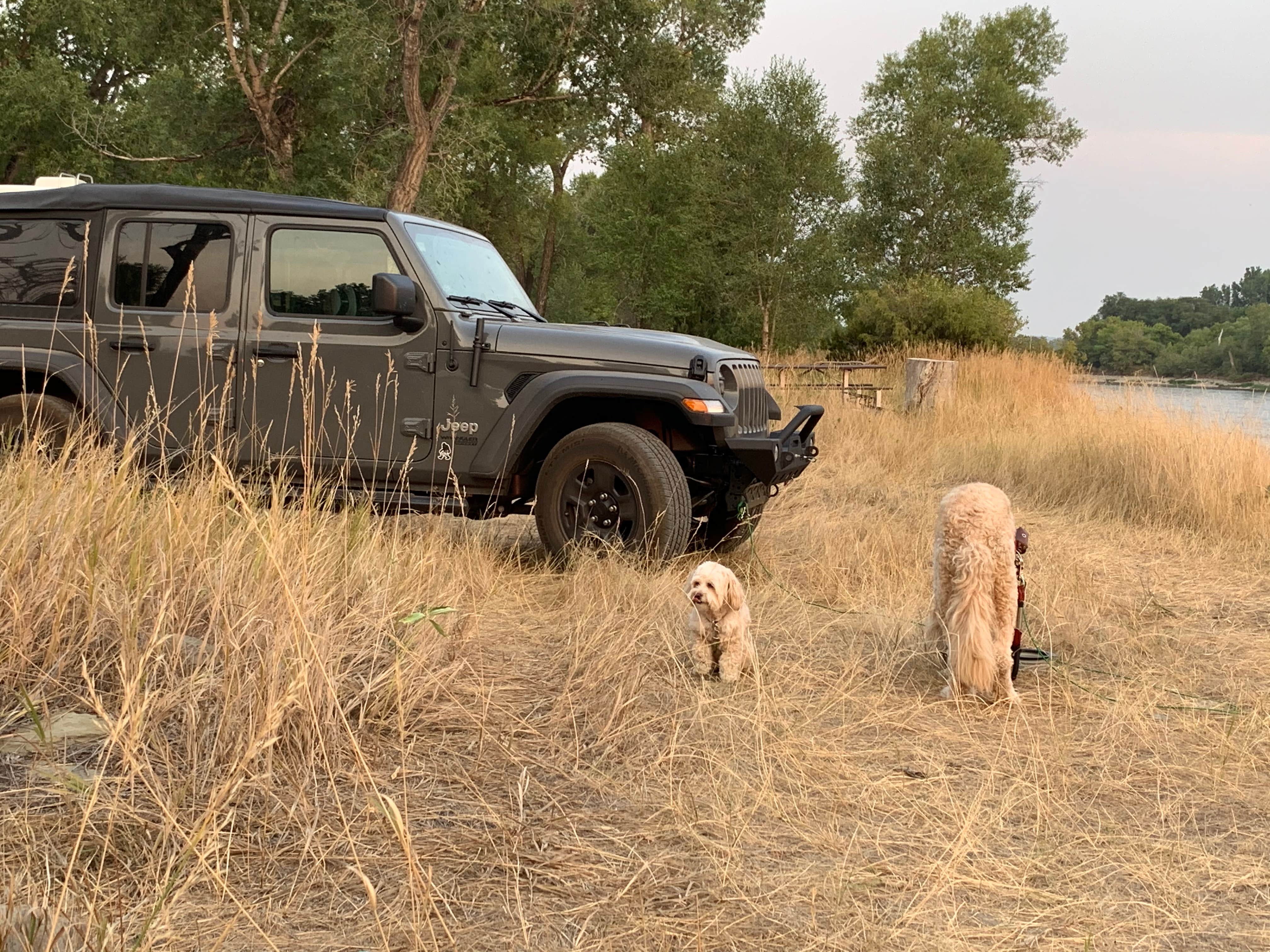 Camper-submitted photo at Itch-Kep-Pe Park near Billings, MT