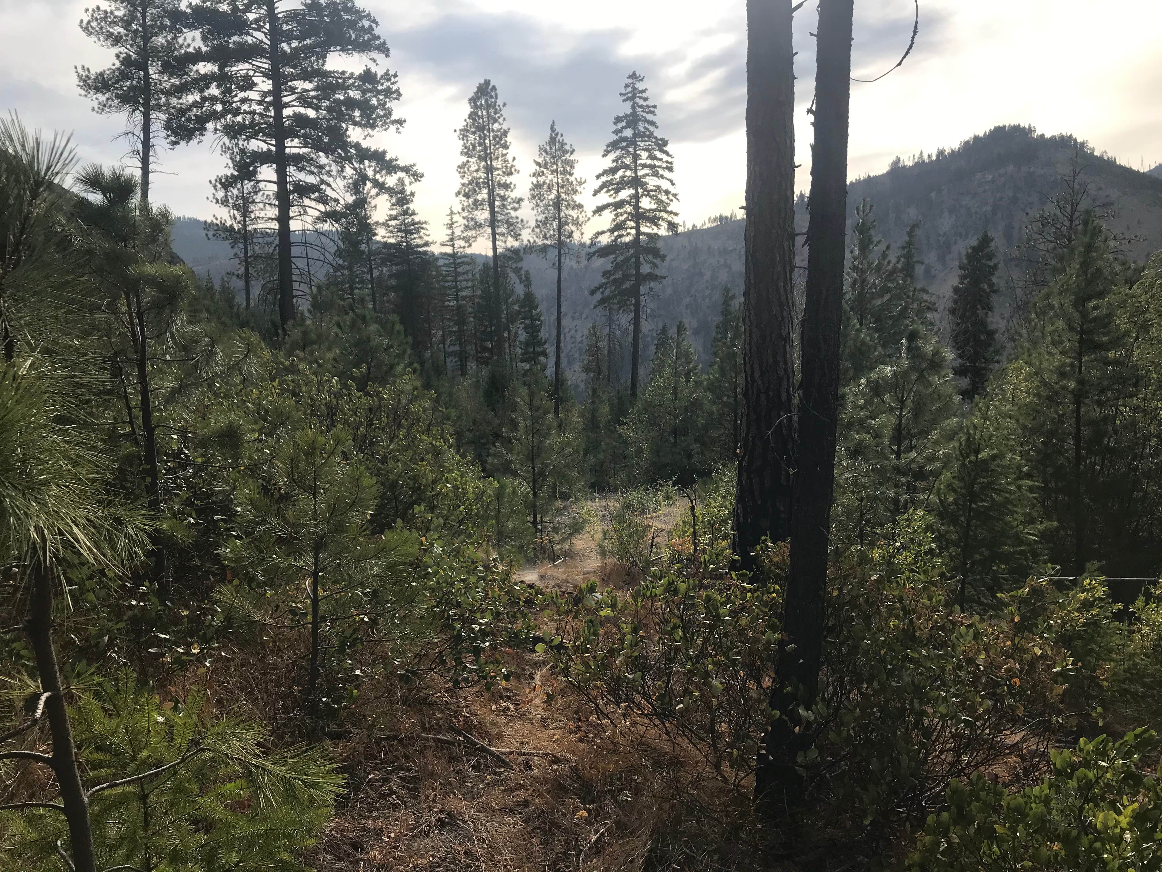 Camper-submitted photo at Windy Camp Campground near Ardenvoir, WA