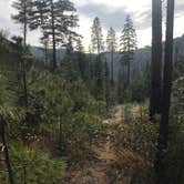 Review photo of Windy Camp Campground by Teresa H., August 25, 2020