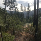 Review photo of Windy Camp Campground by Teresa H., August 25, 2020